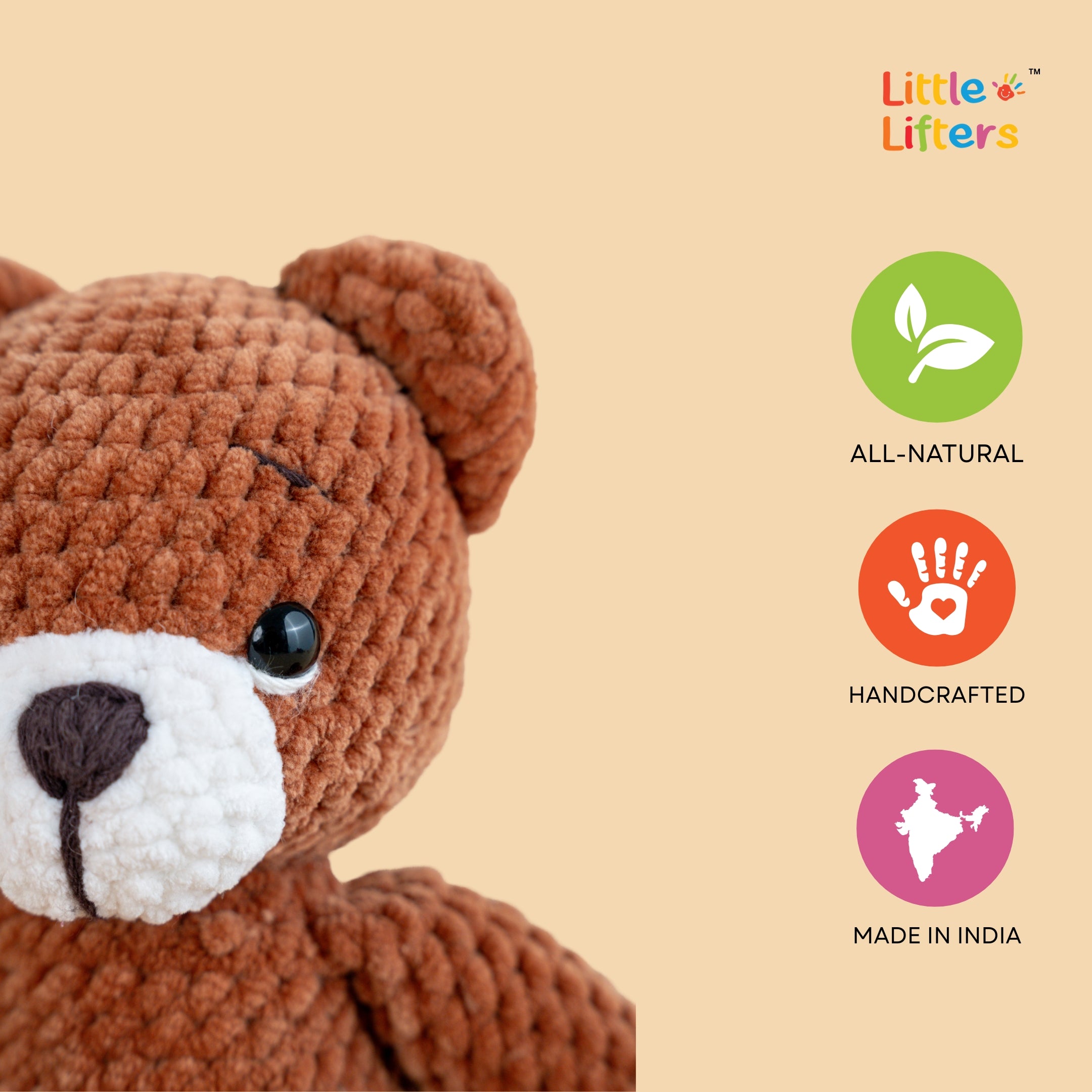 Cozy Snuggler Teddy